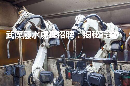 武漢廢水處理招聘：揭秘行業(yè)內幕，你不明白的就業(yè)機會？